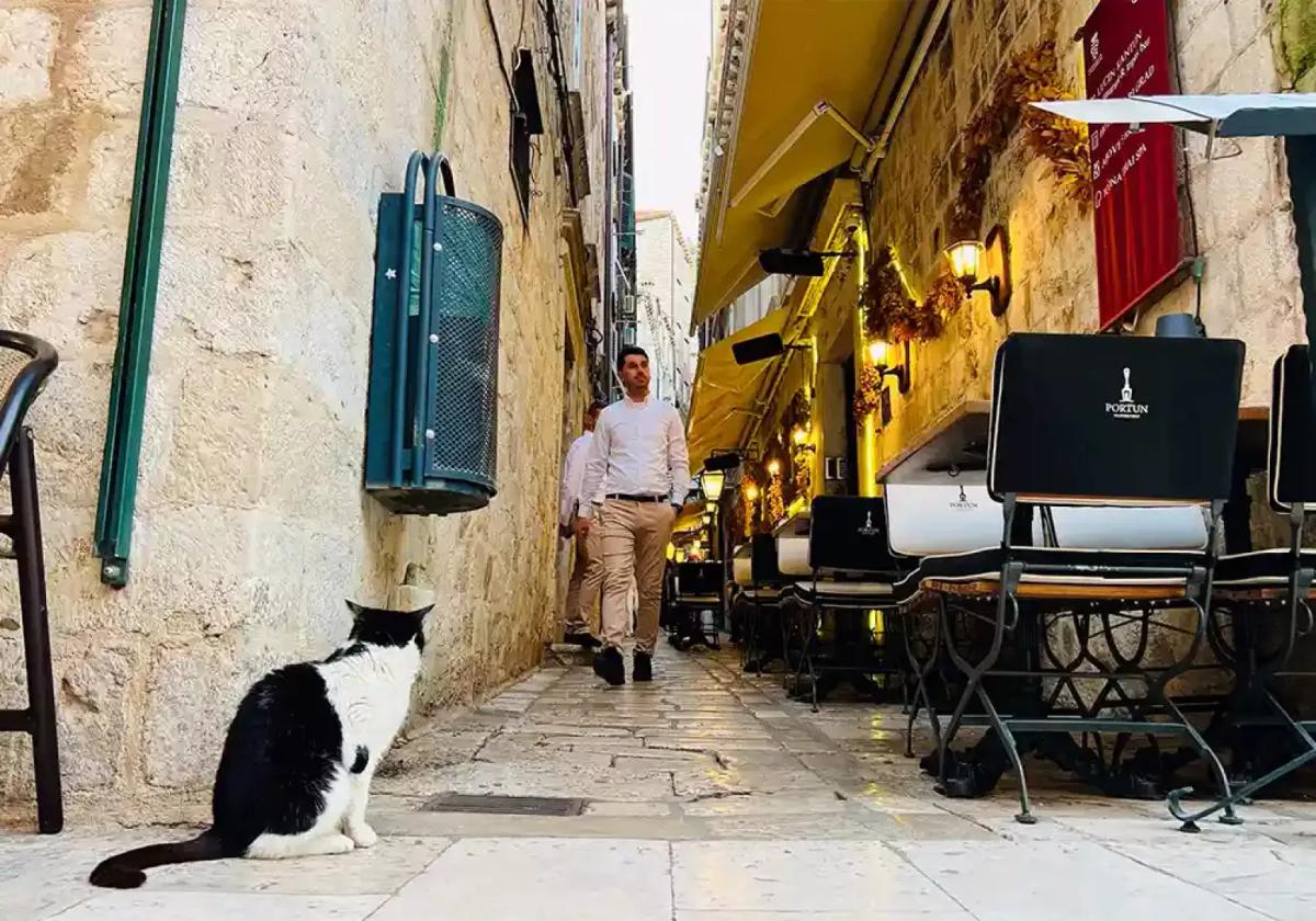Photos of Secret Food Tours: Dubrovnik