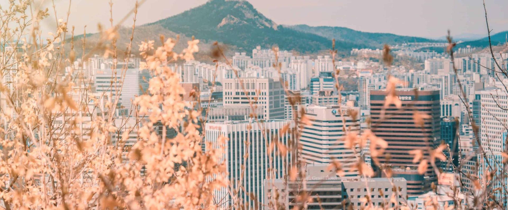 BackgroundImage