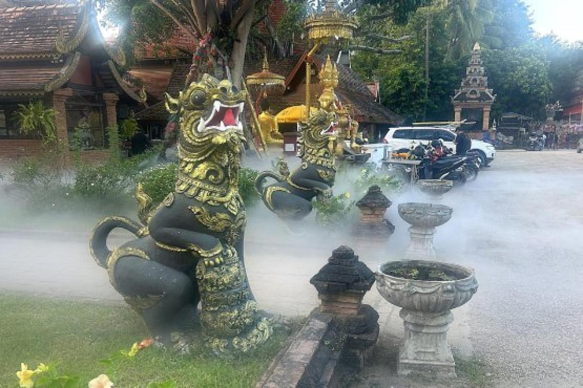 Photos of Secret Food Tour: Chiang Mai