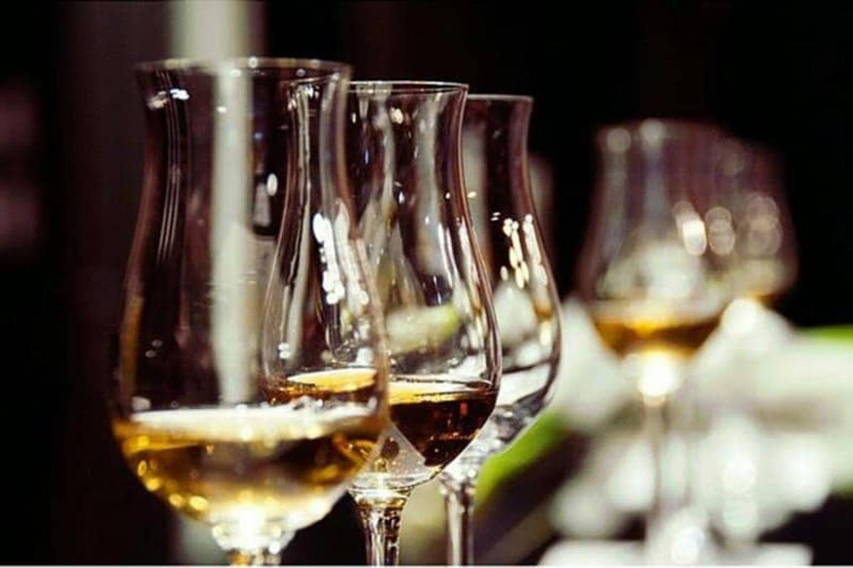 grappa