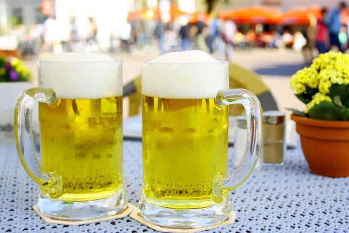 stein-beer