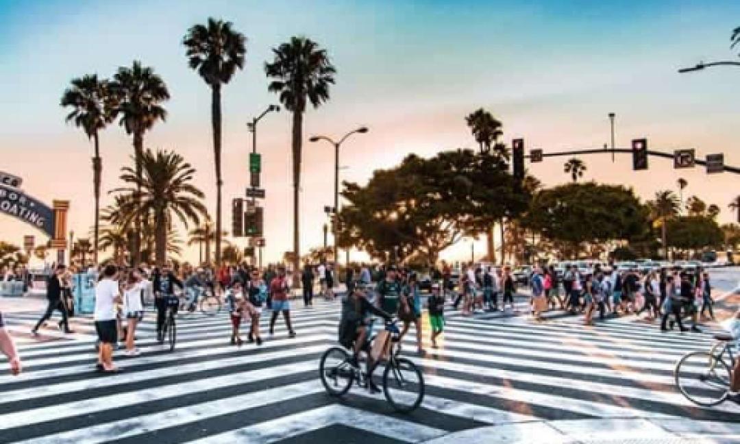 WHY VENICE BEACH?