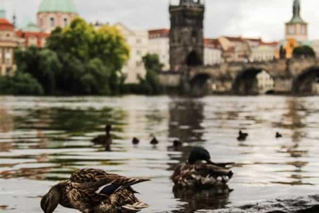 prague-area