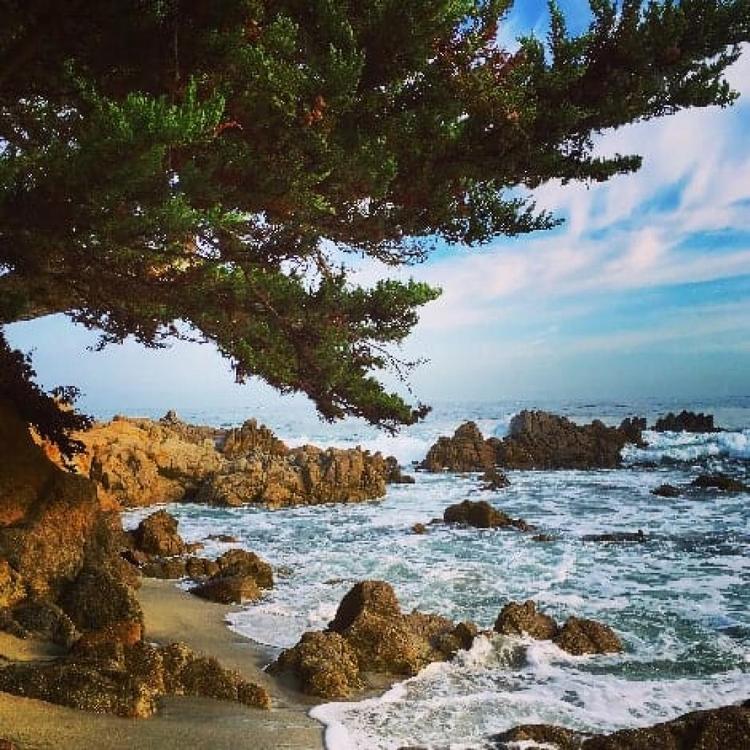 Photos of Secret Tours Carmel