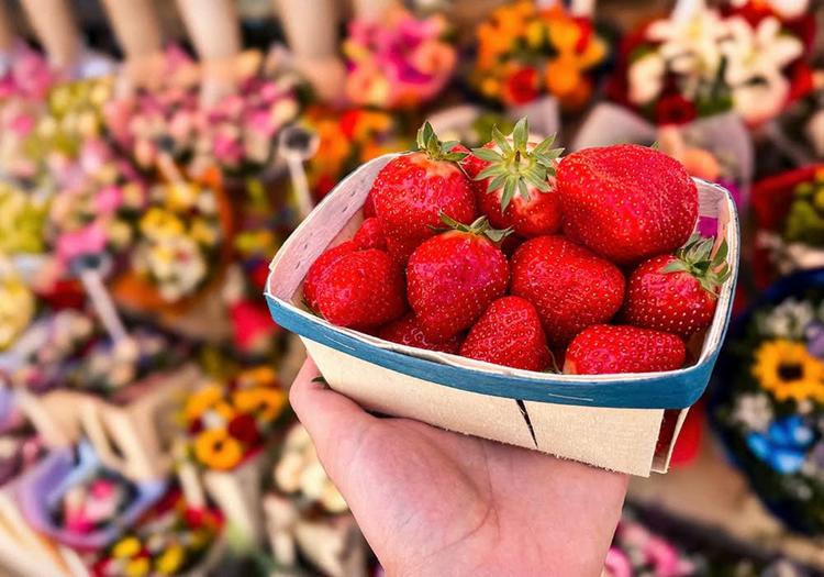 secret-food-tours-nice-city-image-4